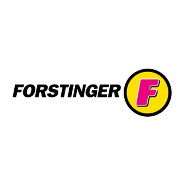 Forstinger Horn