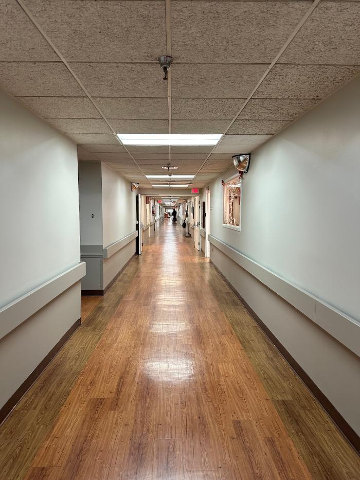 Brothers Colors Painting Image