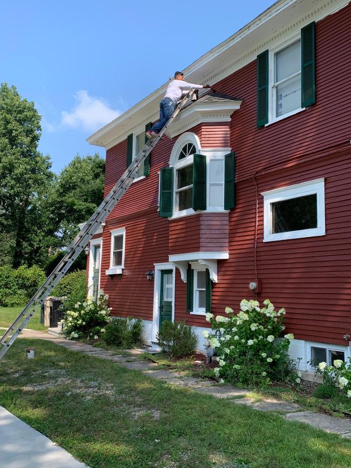 Brothers Colors Painting Image