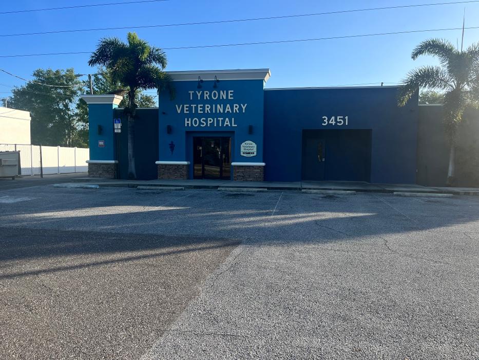 Brothers Colors Painting Image