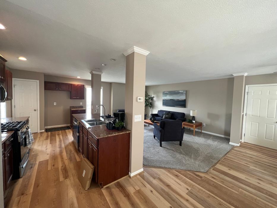 Brothers Colors Painting Image