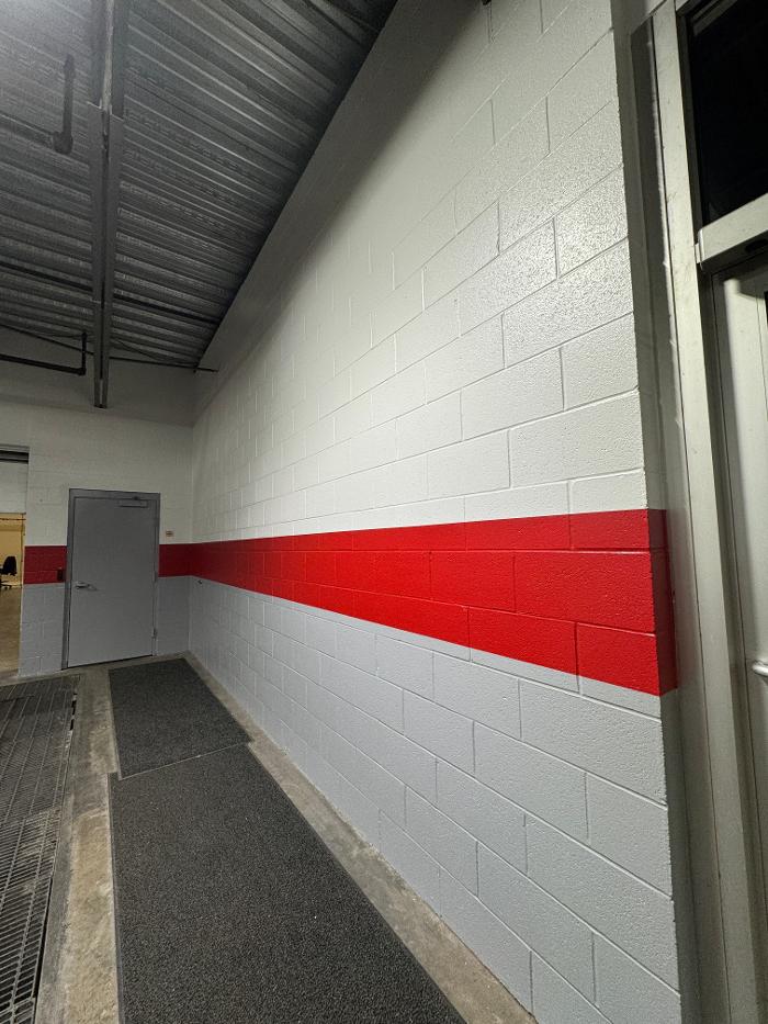 Brothers Colors Painting Image