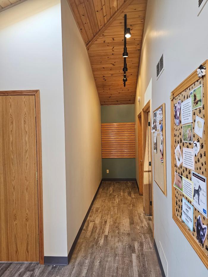 Brothers Colors Painting Image