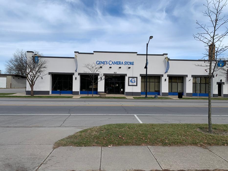 Brothers Colors Painting Image