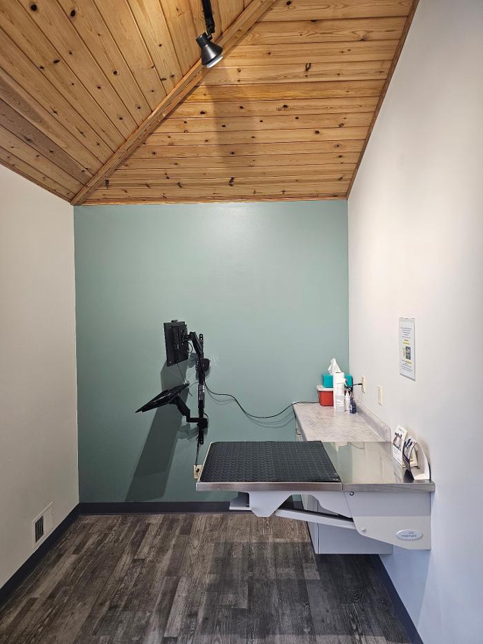 Brothers Colors Painting Image