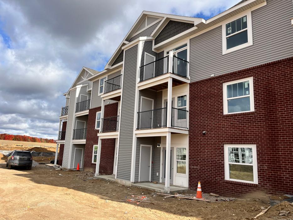 Brothers Colors Painting Image