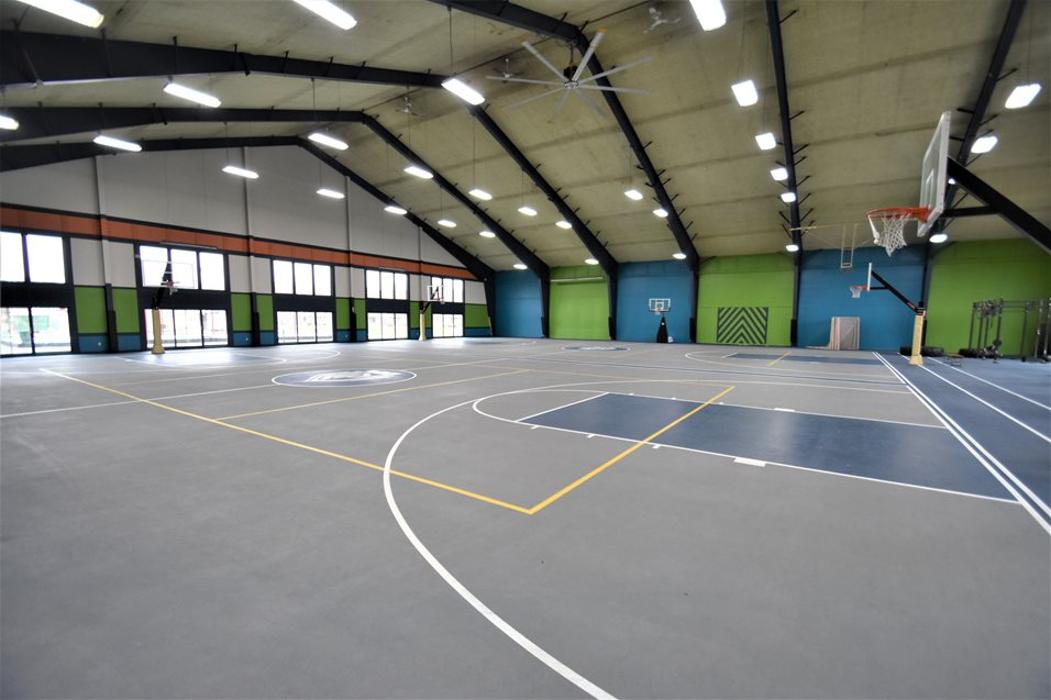 Brothers Colors Painting Image