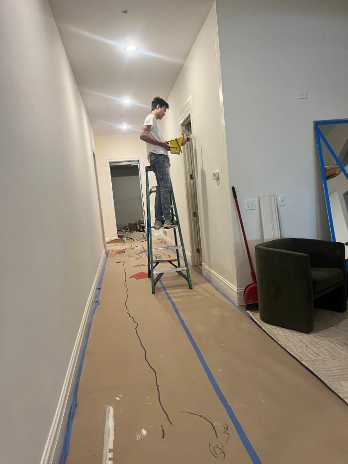 Brothers Colors Painting Image