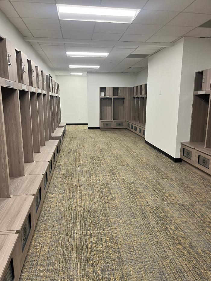 Brothers Colors Painting Image