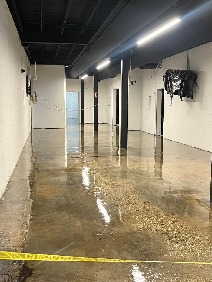 Brothers Colors Painting Image