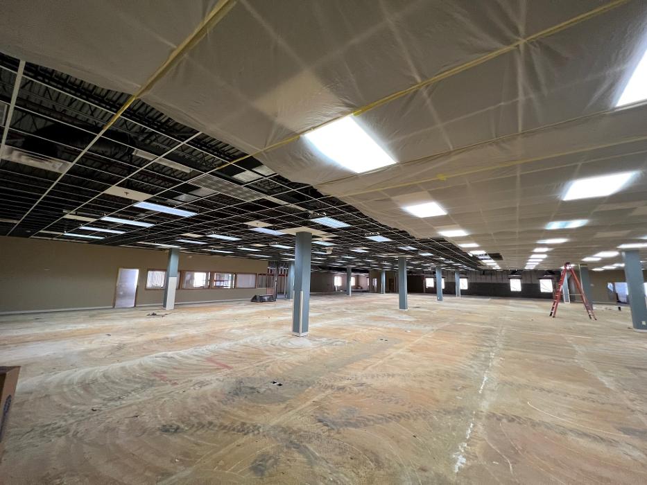 SHANNON'S AUTO BODY INC Image