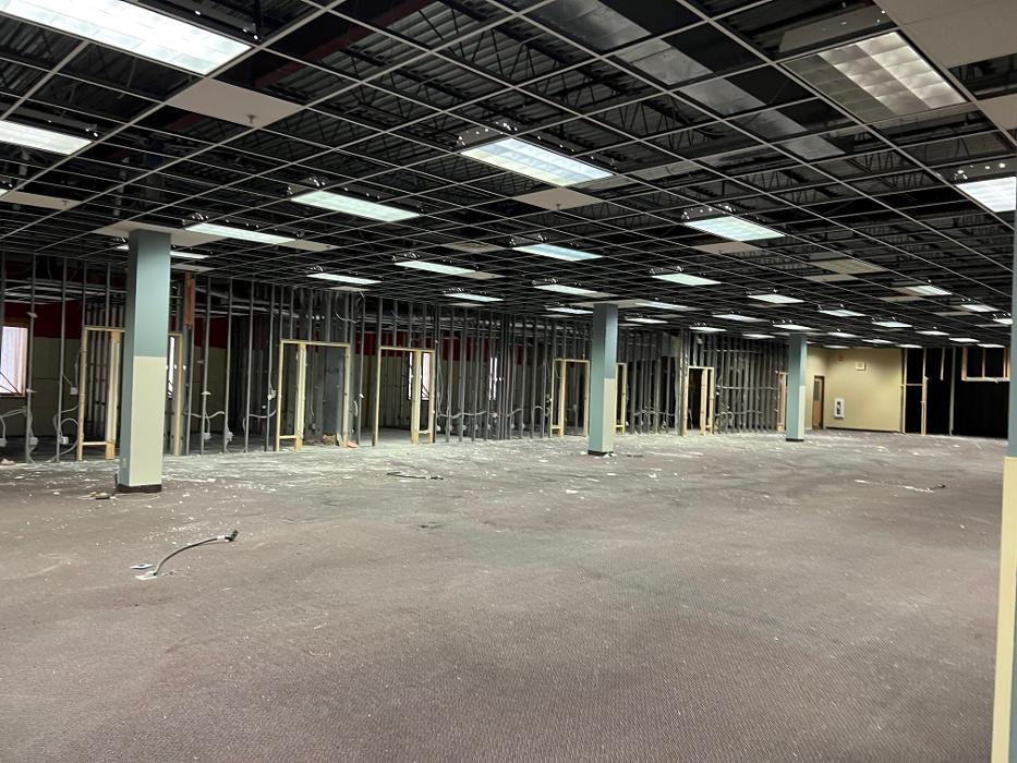 SHANNON'S AUTO BODY INC Image