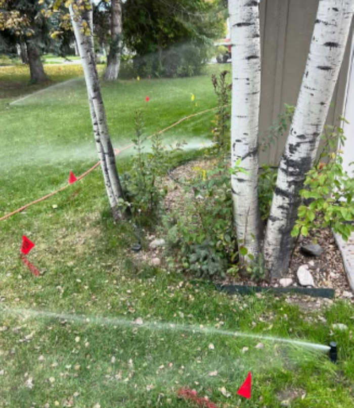 DG Irrigation & Landscape LLC Image