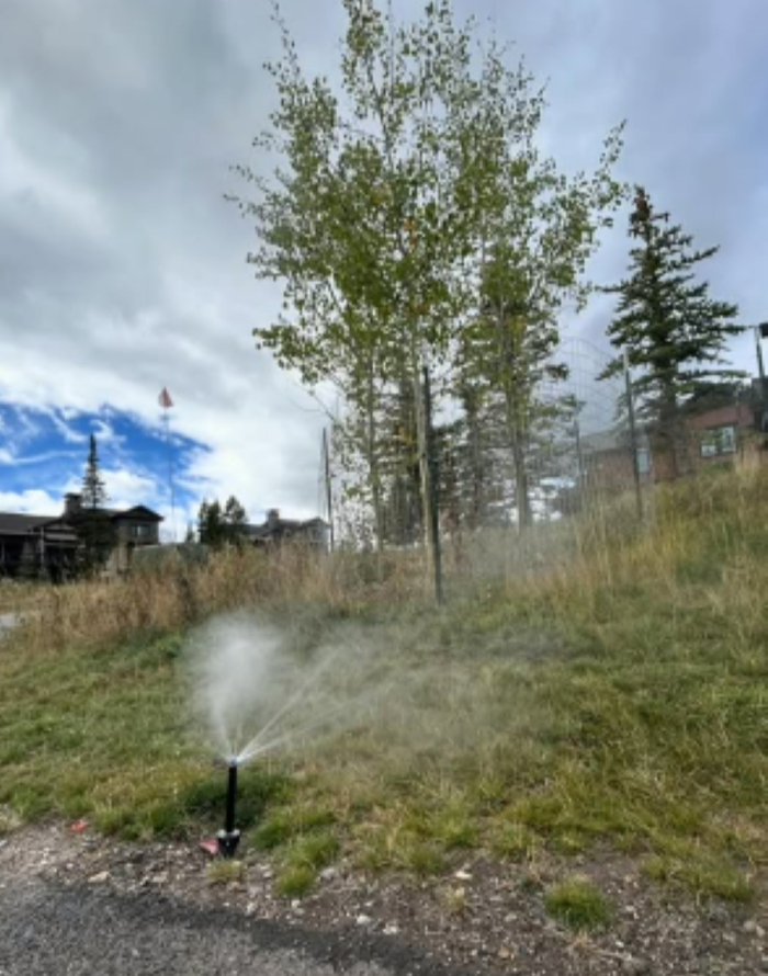 DG Irrigation & Landscape LLC Image