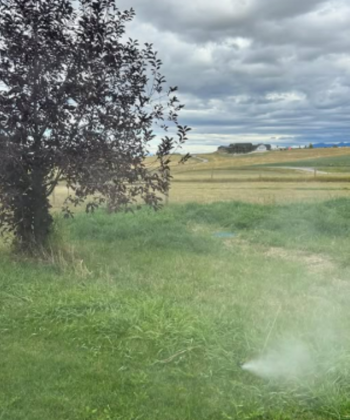 DG Irrigation & Landscape LLC Image