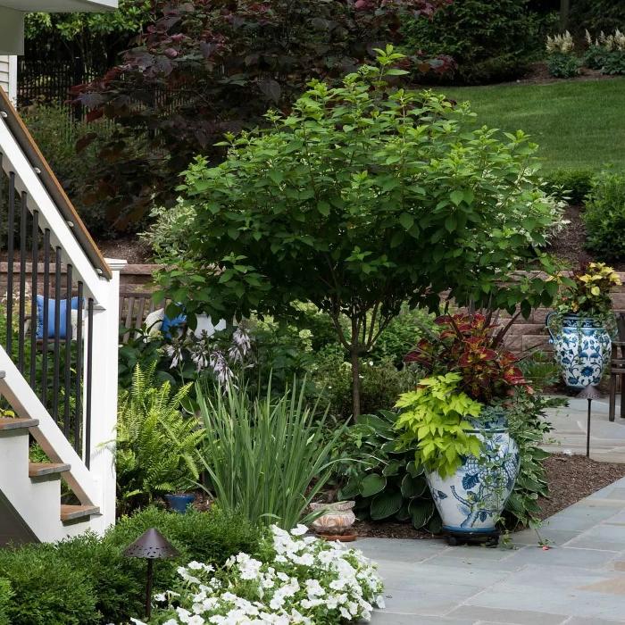 Distinctive Lawn &amp; Landscape Logo