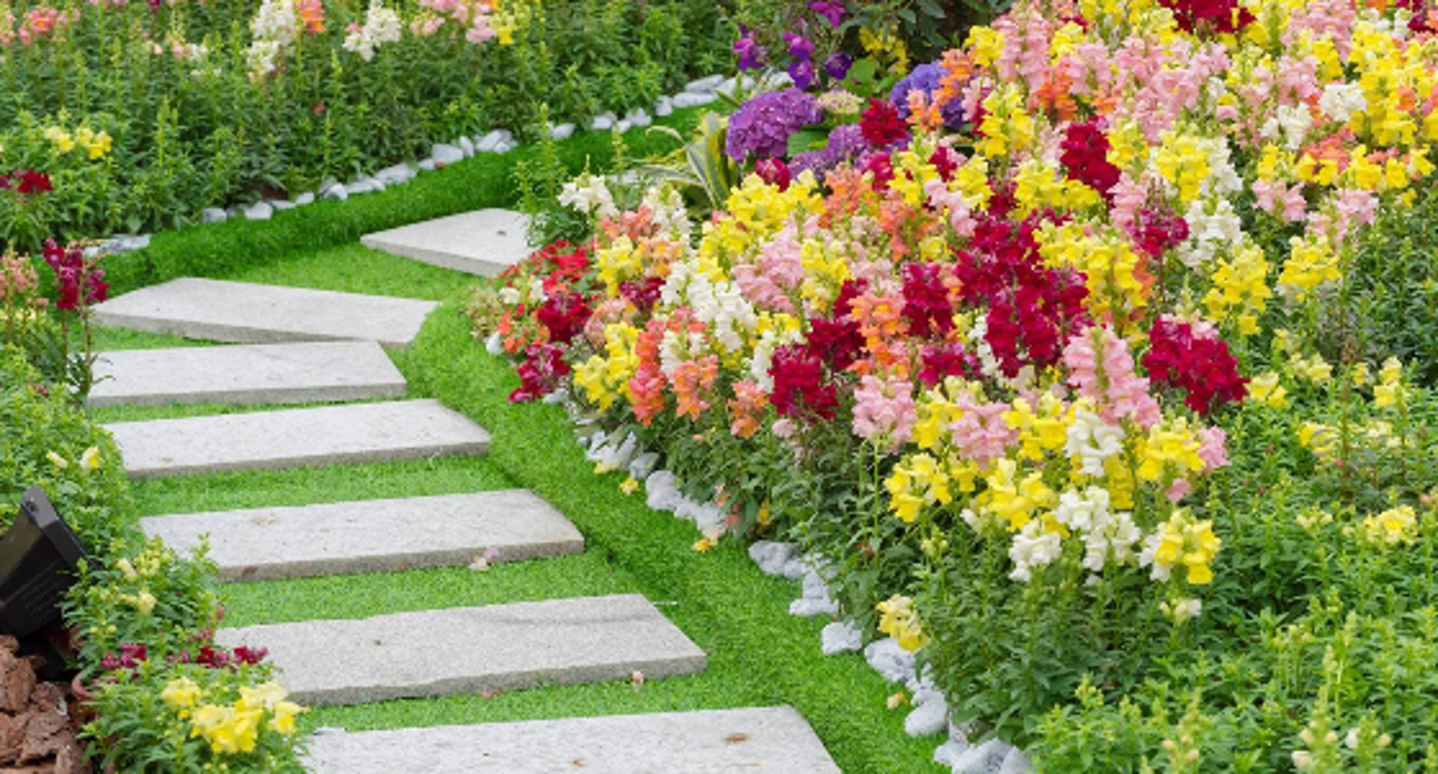 Distinctive Lawn & Landscape Image