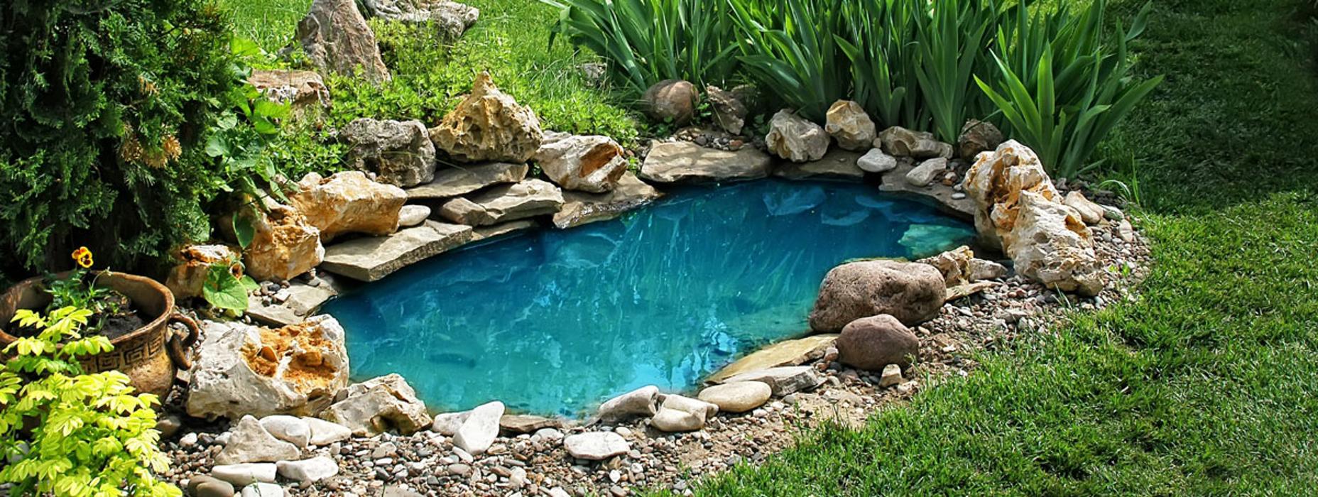 Distinctive Lawn & Landscape Image