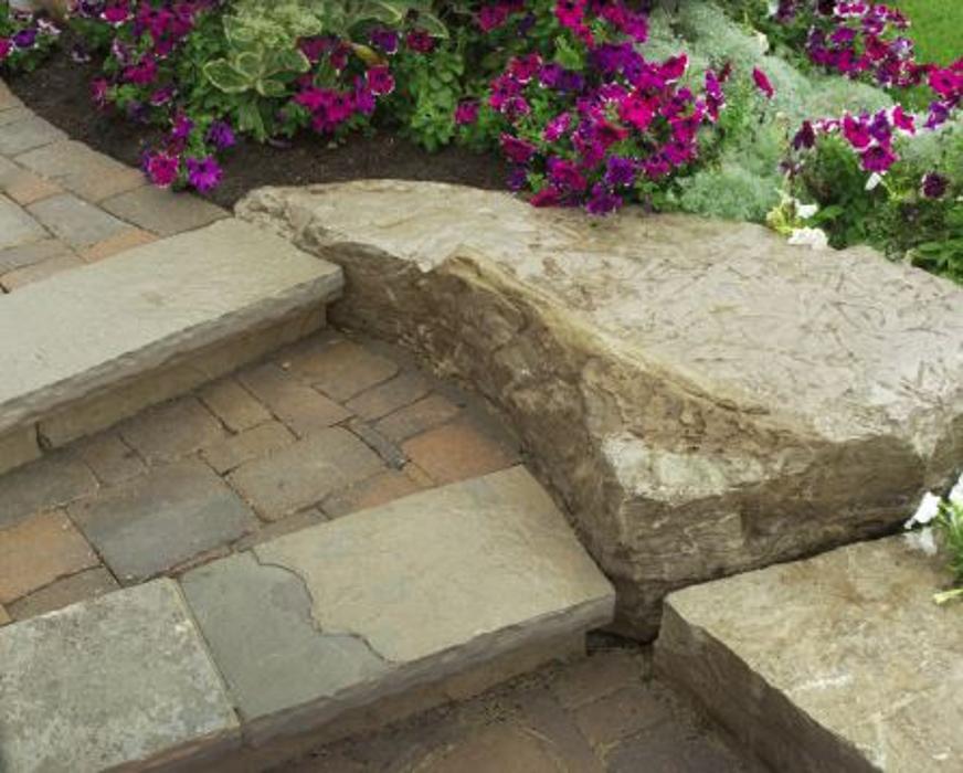 Distinctive Lawn & Landscape Image