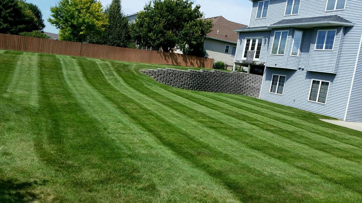 Distinctive Lawn & Landscape Image