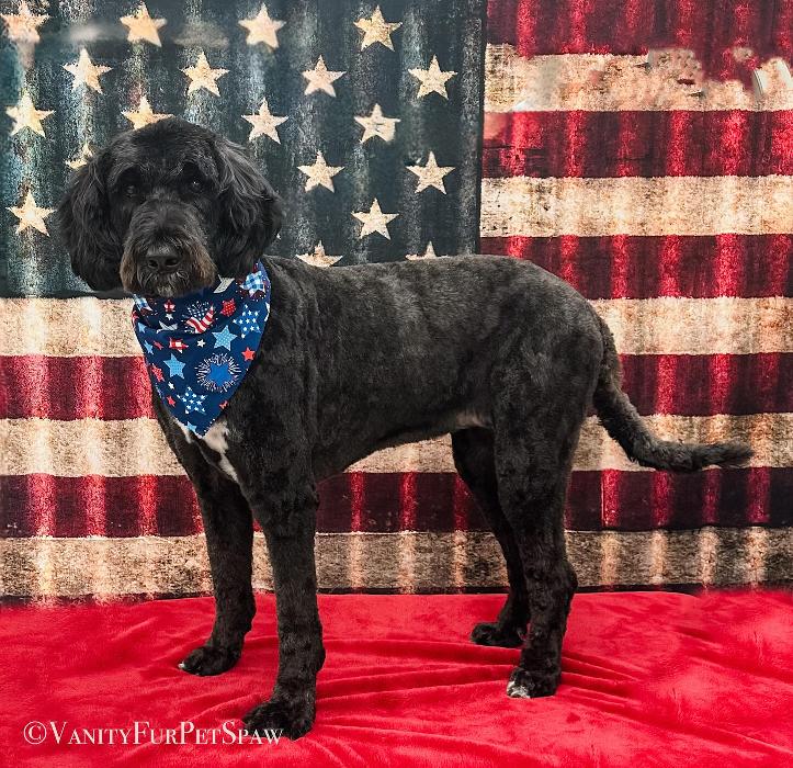 Vanity Fur Pet Spaw - Fresno, CA