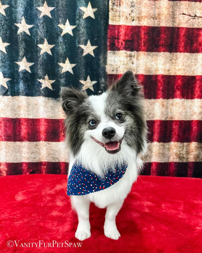 Vanity Fur Pet Spaw - Fresno, CA