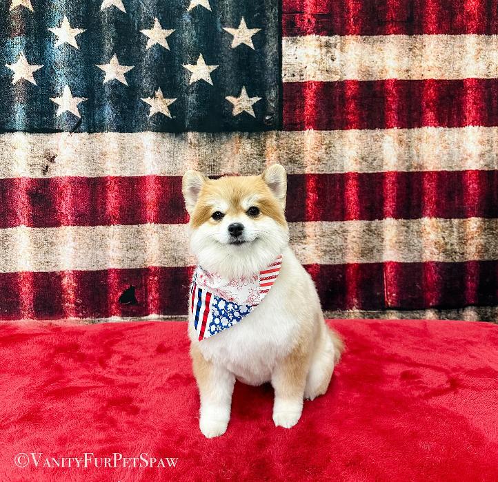 Vanity Fur Pet Spaw - Fresno, CA