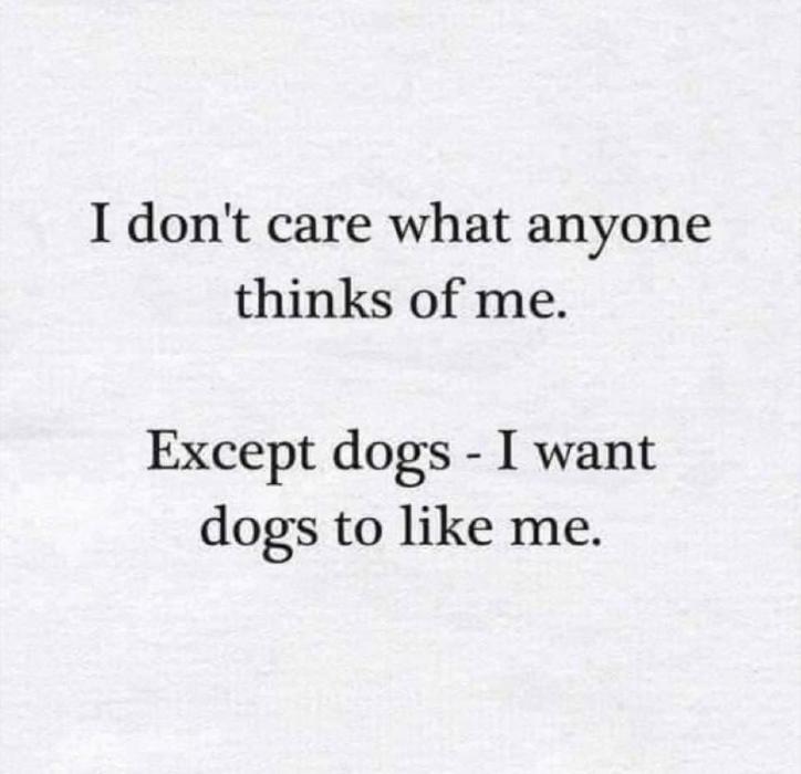 Glow Designer Wigs Image