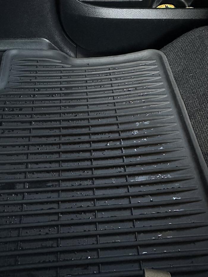 Pelican Car Wash & Quick Lube - Palm Harbor, FL