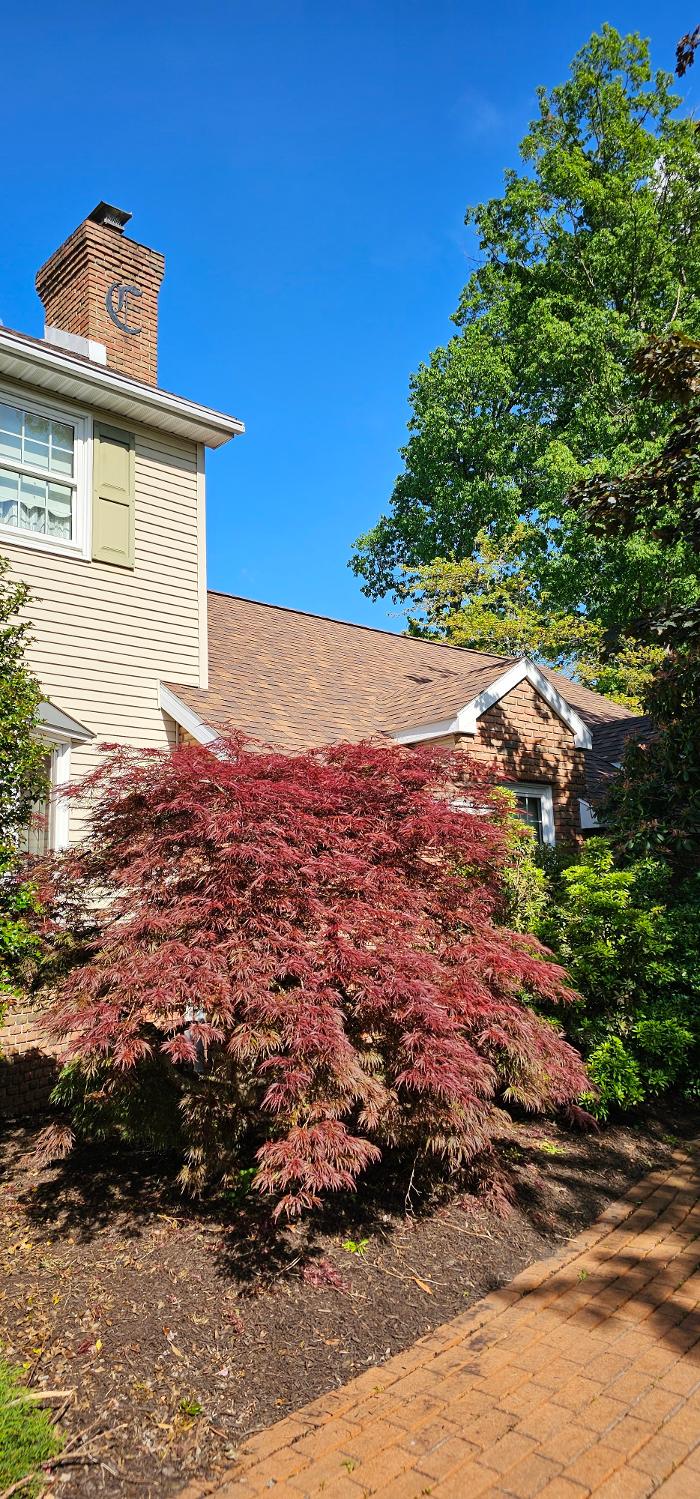 Kings Construction 98 LLC Image