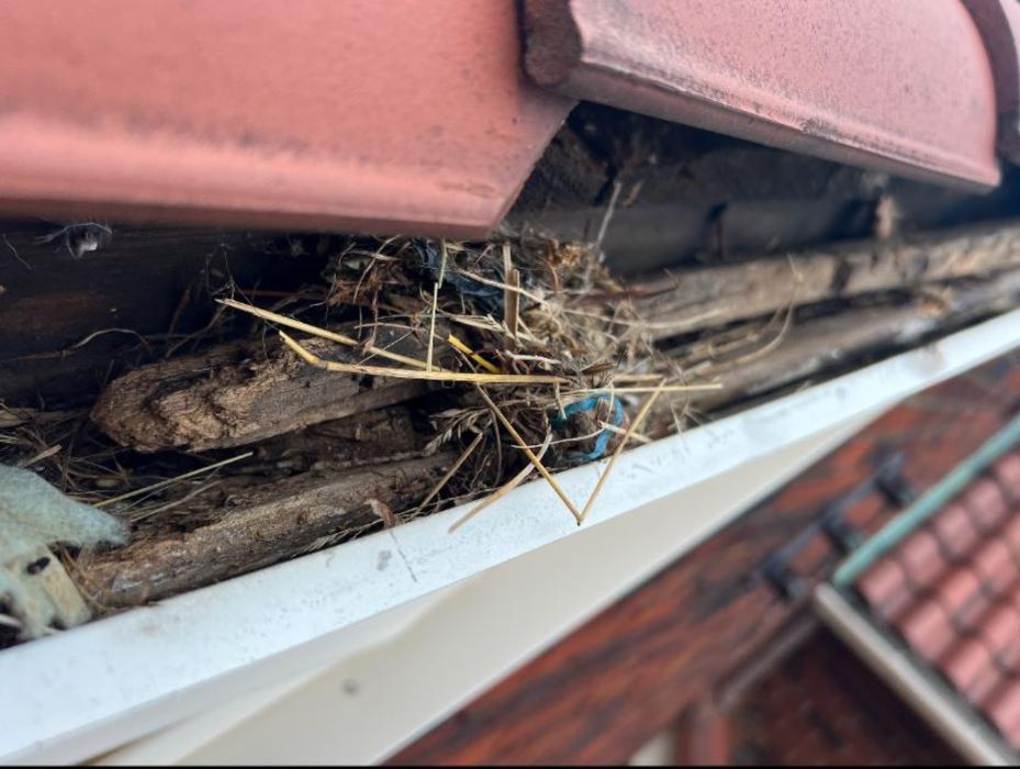 Northcoast Roof Repairs LLC Image