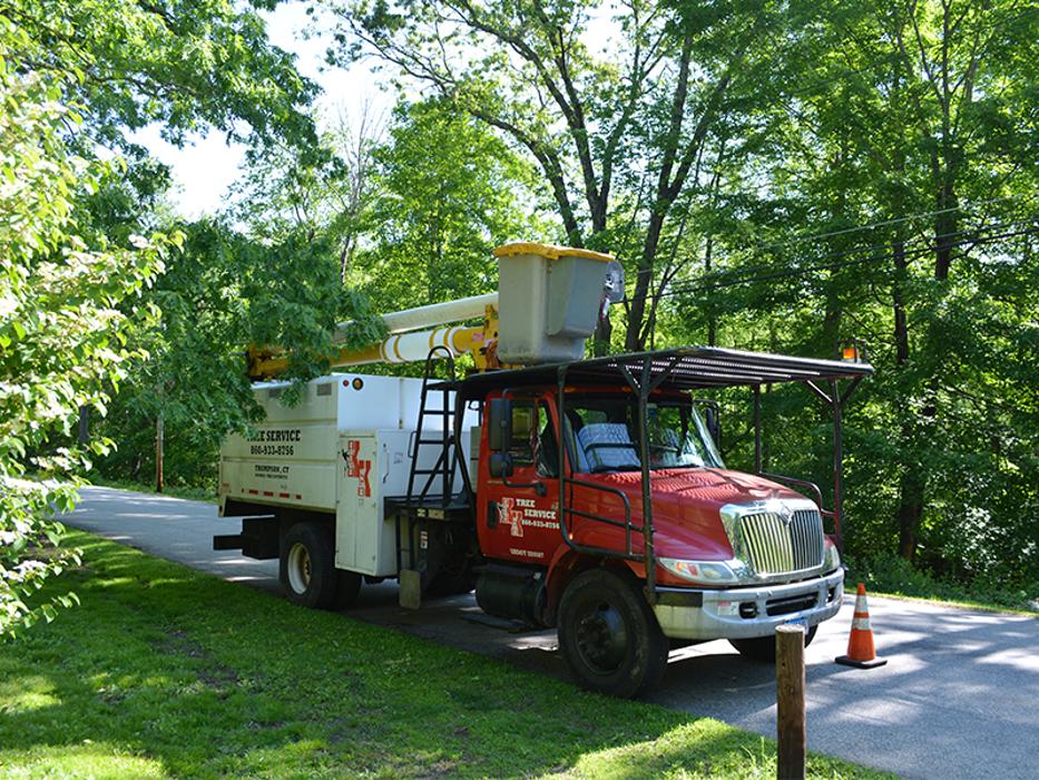 Krohn Kutz Tree Service Image