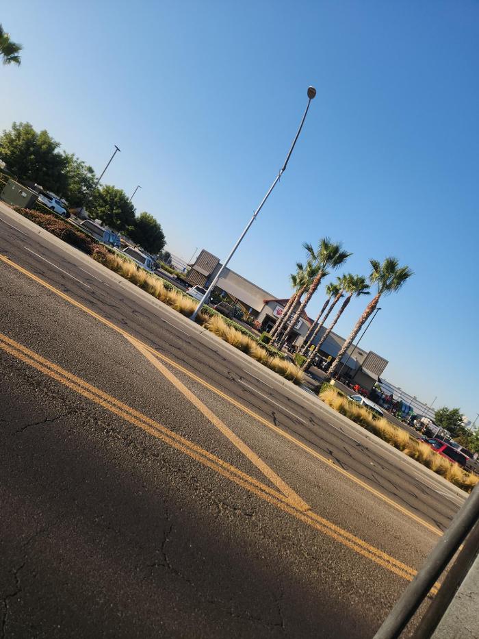 Gonzalez Pro Tree Service Image