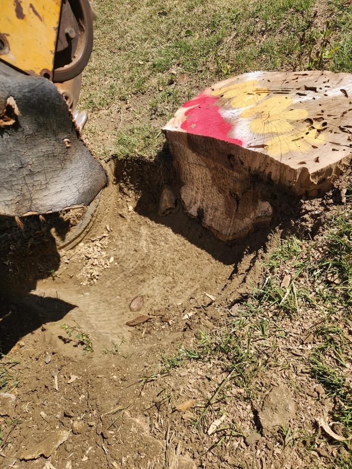 Gonzalez Pro Tree Service Image