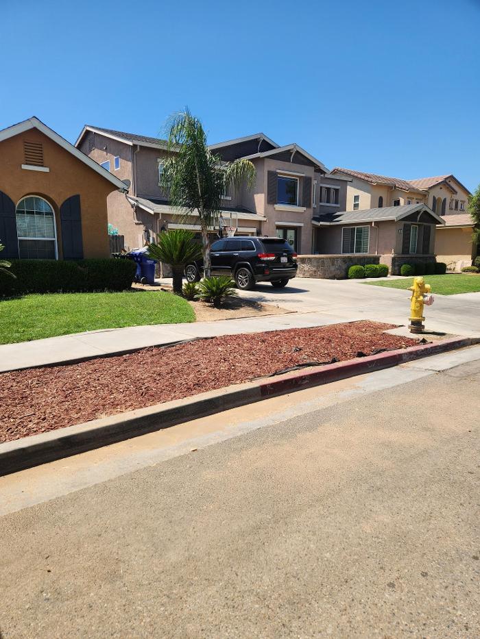 Gonzalez Pro Tree Service Image