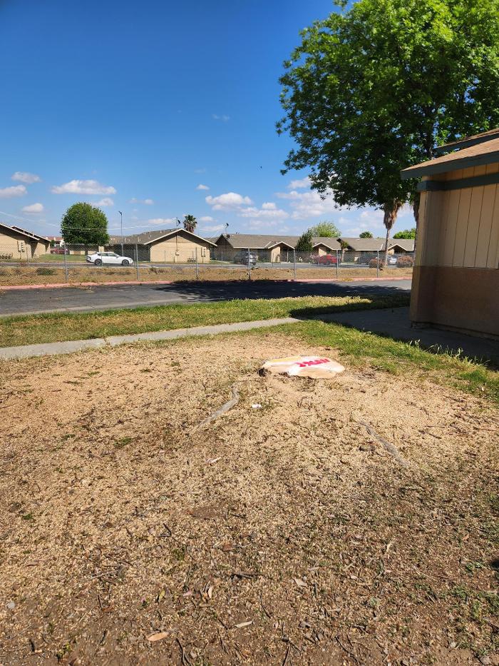 Gonzalez Pro Tree Service Image