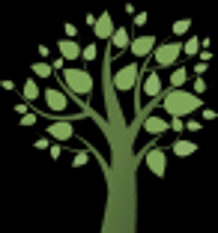 Luna's Tree Service - San Antonio, TX