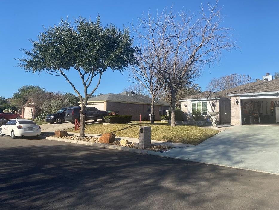 Luna's Tree Service - San Antonio, TX