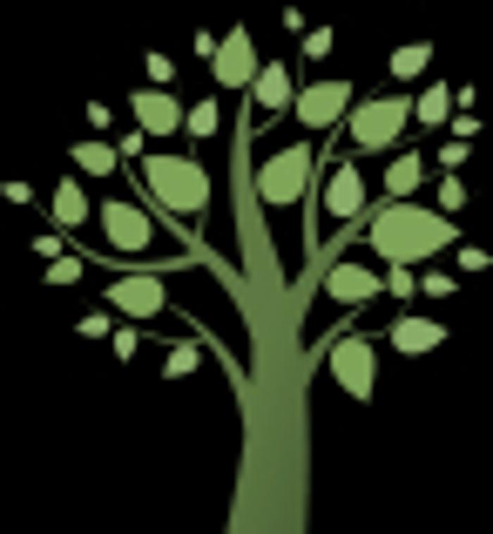 Luna's Tree Service - San Antonio, TX