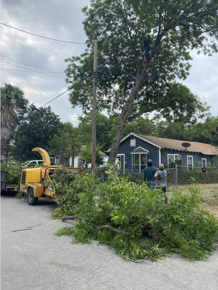 Luna's Tree Service - San Antonio, TX