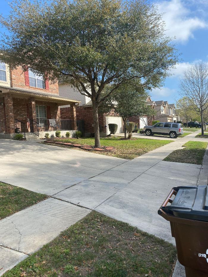 Luna's Tree Service - San Antonio, TX