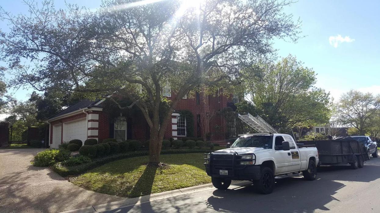 Luna's Tree Service - San Antonio, TX