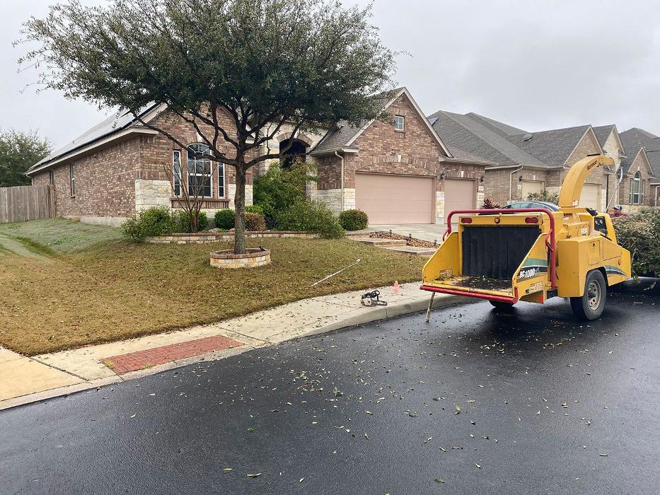 Luna's Tree Service - San Antonio, TX