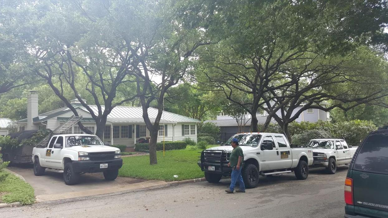 Luna's Tree Service - San Antonio, TX