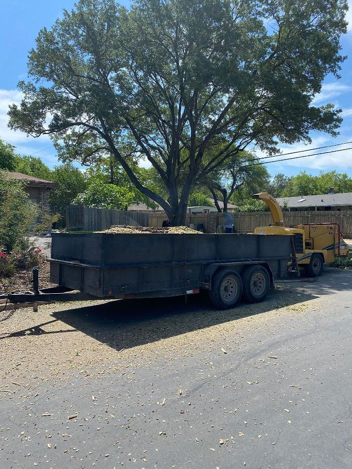 Luna's Tree Service - San Antonio, TX