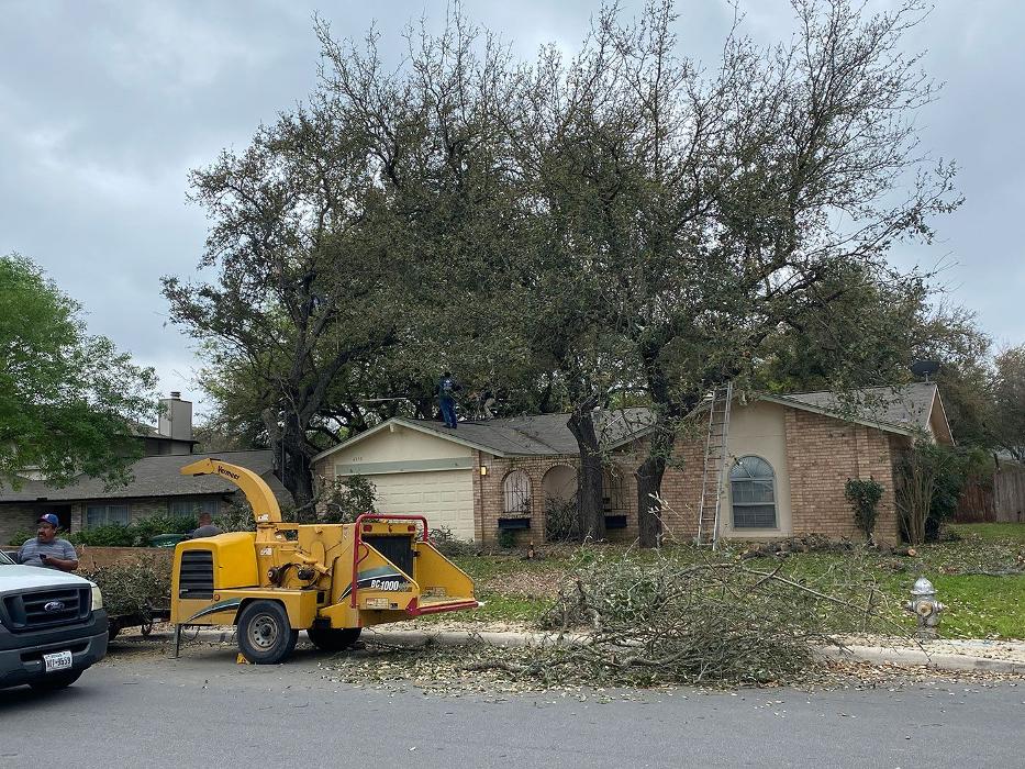 Luna's Tree Service - San Antonio, TX