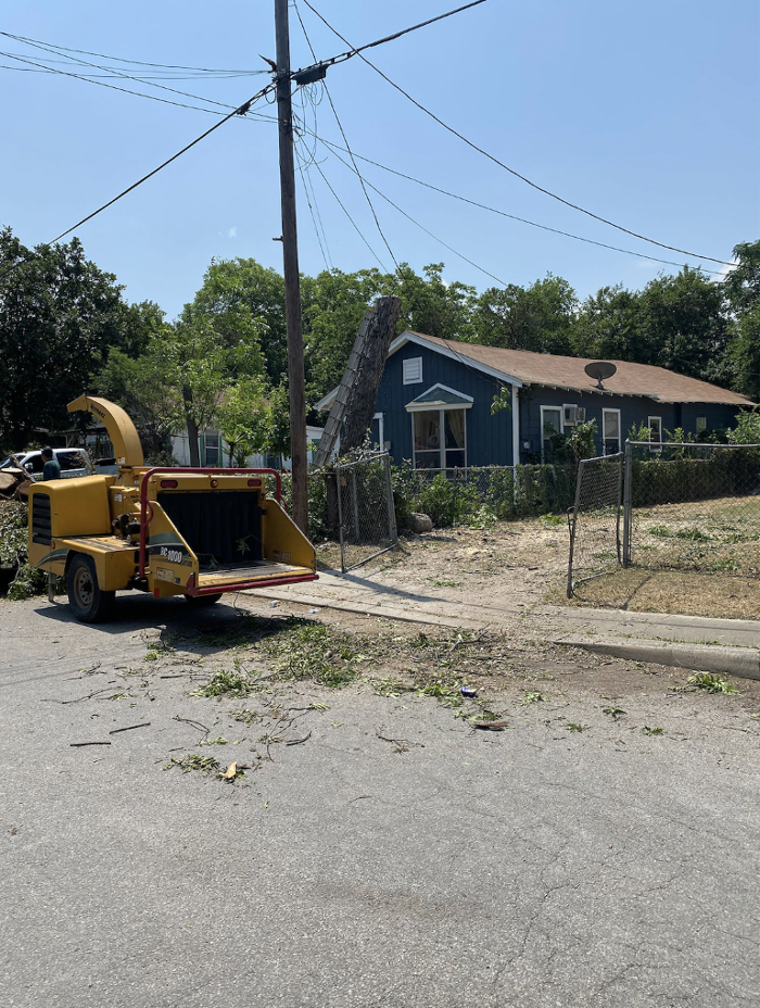 Luna's Tree Service - San Antonio, TX