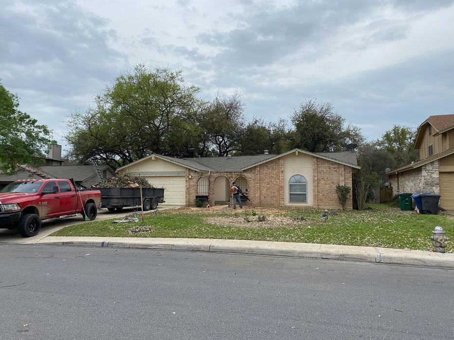 Luna's Tree Service - San Antonio, TX