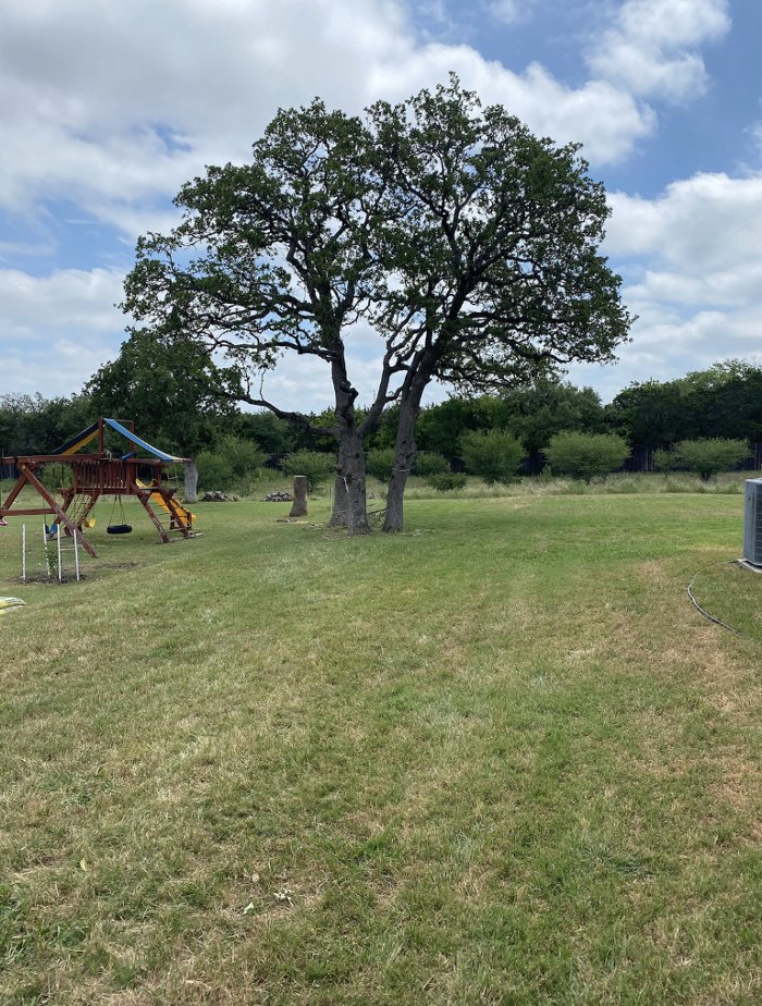 Luna's Tree Service - San Antonio, TX