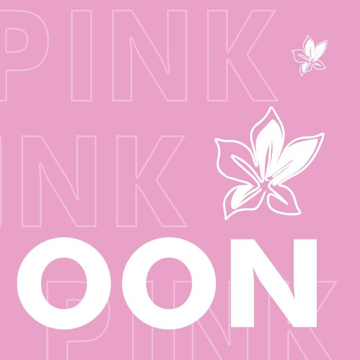 Pink Cafe - Hallandale, FL